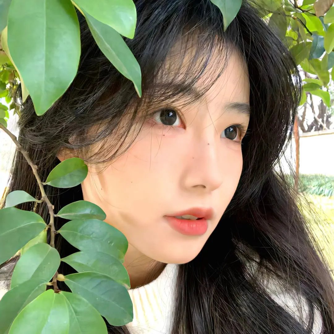 石榴裙下